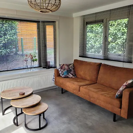 Veluws Huisje Chalet Nr 440 シャレー